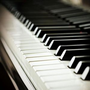 免费特黄特色一极毛片
