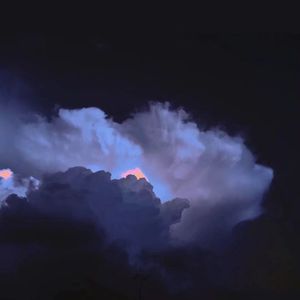 免费特黄特色一极毛片
